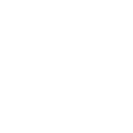 tnp_web_retina