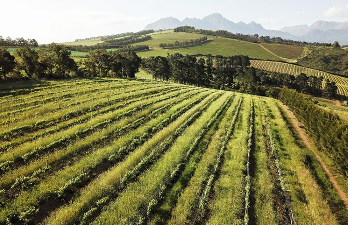 Onderkloof Wine Estate