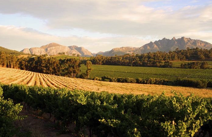 Linton Park Wines really Focus on Sustainability and Conservation!