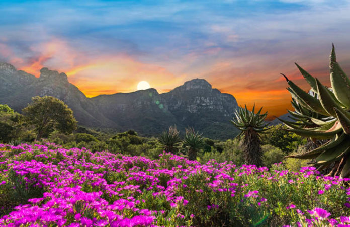Cape Floral Region Protected Areas