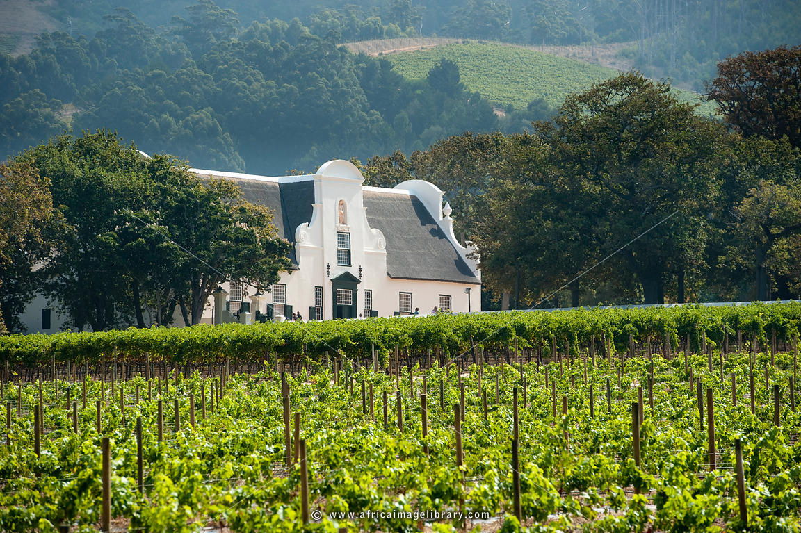 Groot Constantia celebrates its 337th birthday