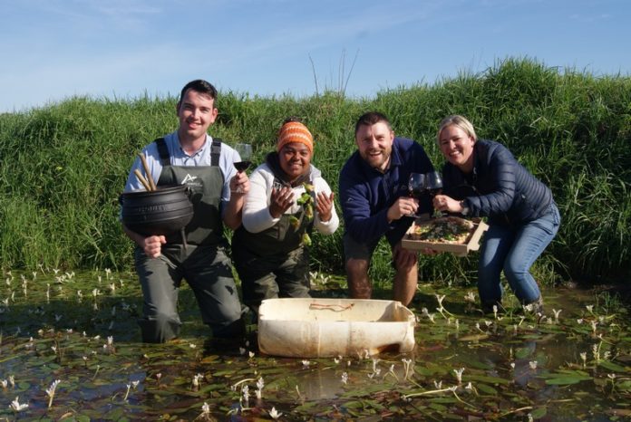 Waterblommetjie festival