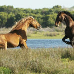 TNP0922_web32