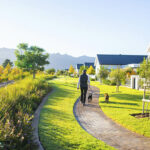 TNP1022_web2
