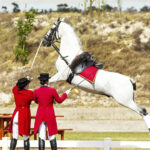 TNP1022_web26