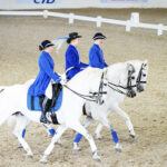 TNP1022_web9