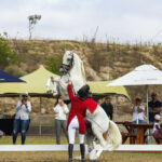 TNP1122_web32