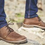 TNP1222_web36