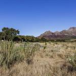 TNP1222_web54