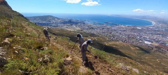 Table Mountain