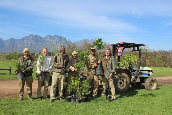 Vergelegen Wine Estate