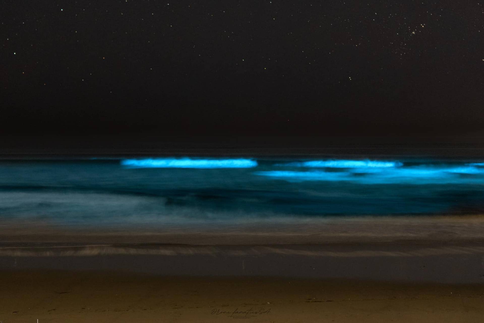 Bioluminescence Lights Up the Western Cape Coastline