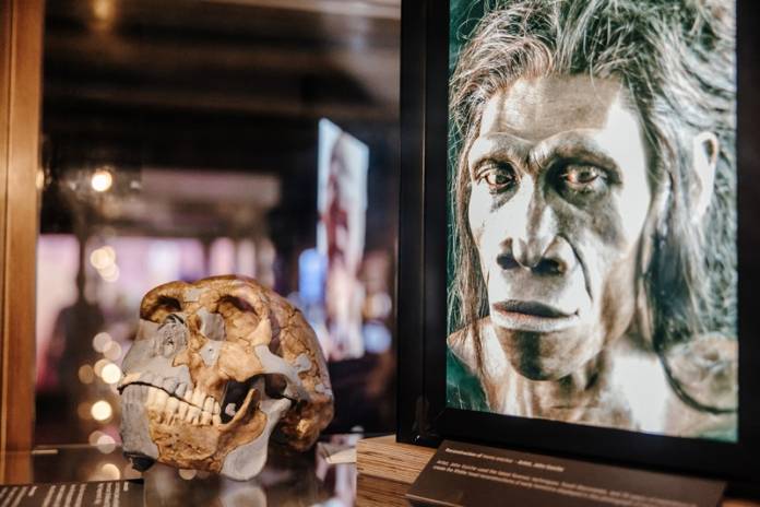 Southern Sapiens Behaviour' Exhibition