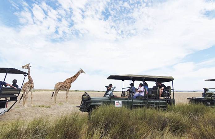 Thali Thali Game Lodge