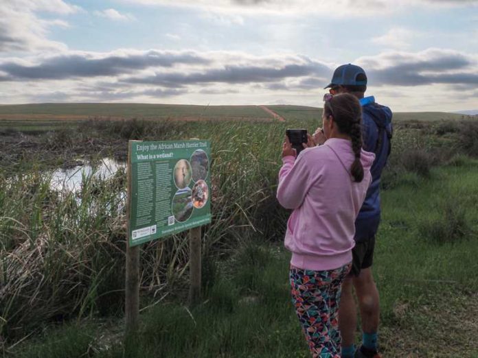 Marsh Harrier Trail