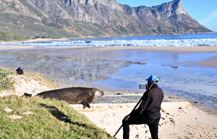 Gordons Bay