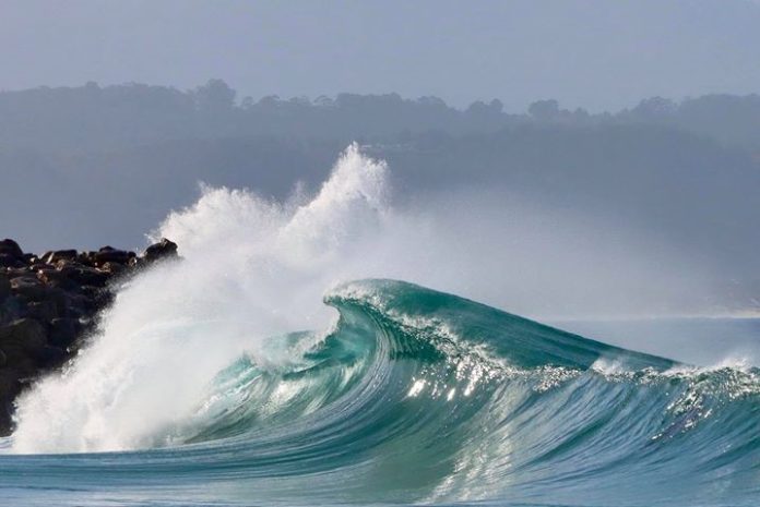 plett