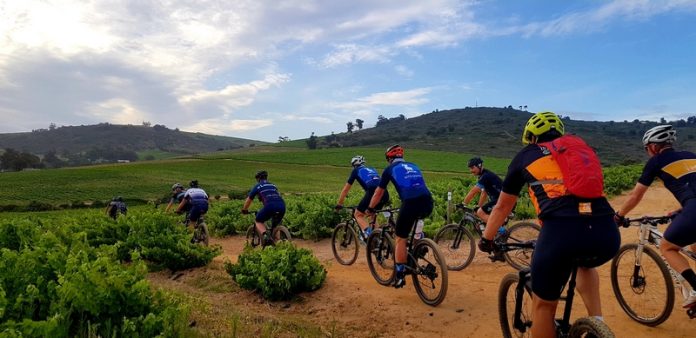 Great rides on working wine farms situated in the Bottelary Hills Renosterveld Conservancy (Copy) Zevenwacht