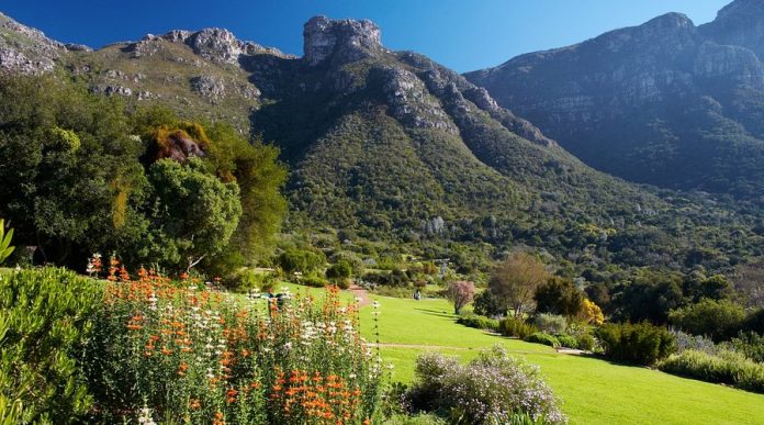 kirstenbosch-national (1) Biodiversity Biobanking
