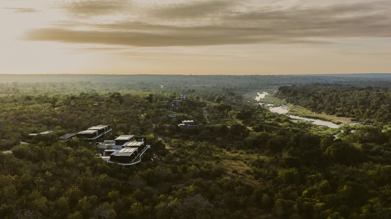 Shiviko Kruger: Crafting Core Memories with a Family Safari Like No Other
