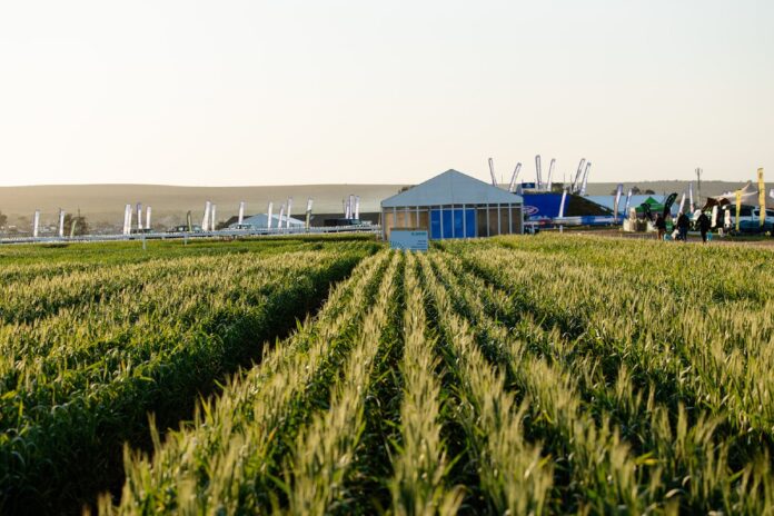 528240510_1313100400601189_1963619727398239312_n NAMPO Cape 2025