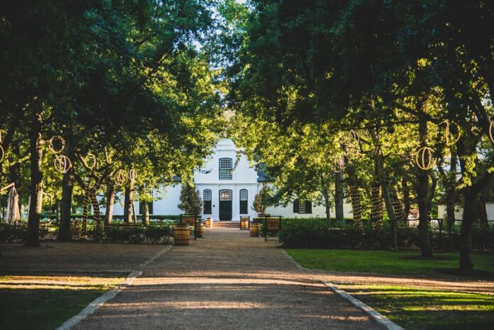 BoschendalClaireGunn_122020_6110copy (Copy)