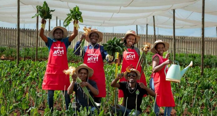 afc-garden-comp-a (Copy) Harvesting