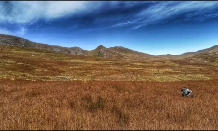 Mount-David_Wetland-seeps_-Bionerds-PTY-Ltd-2_W800_H480_Mcrop_upscale1_autoformat-compress_CZ1_I1_P50-50 Western Cape