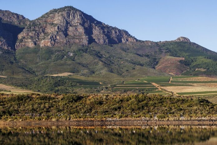Plaisir Wine Estate and the Banhoek Valley are beautiful places for a mountain bike race. Photo by Sam Clark. Trailseeker