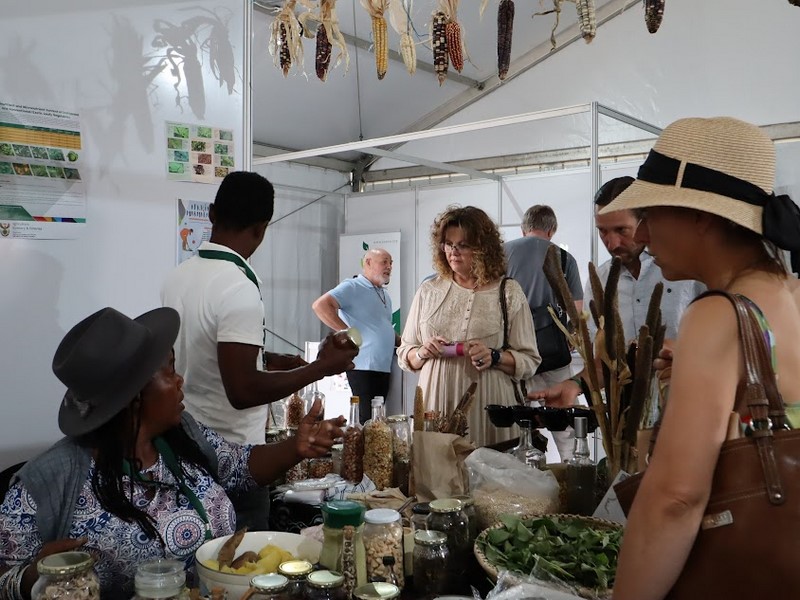Cape Town’s Green Economy on Display with Organic and Natural Products Expo Africa