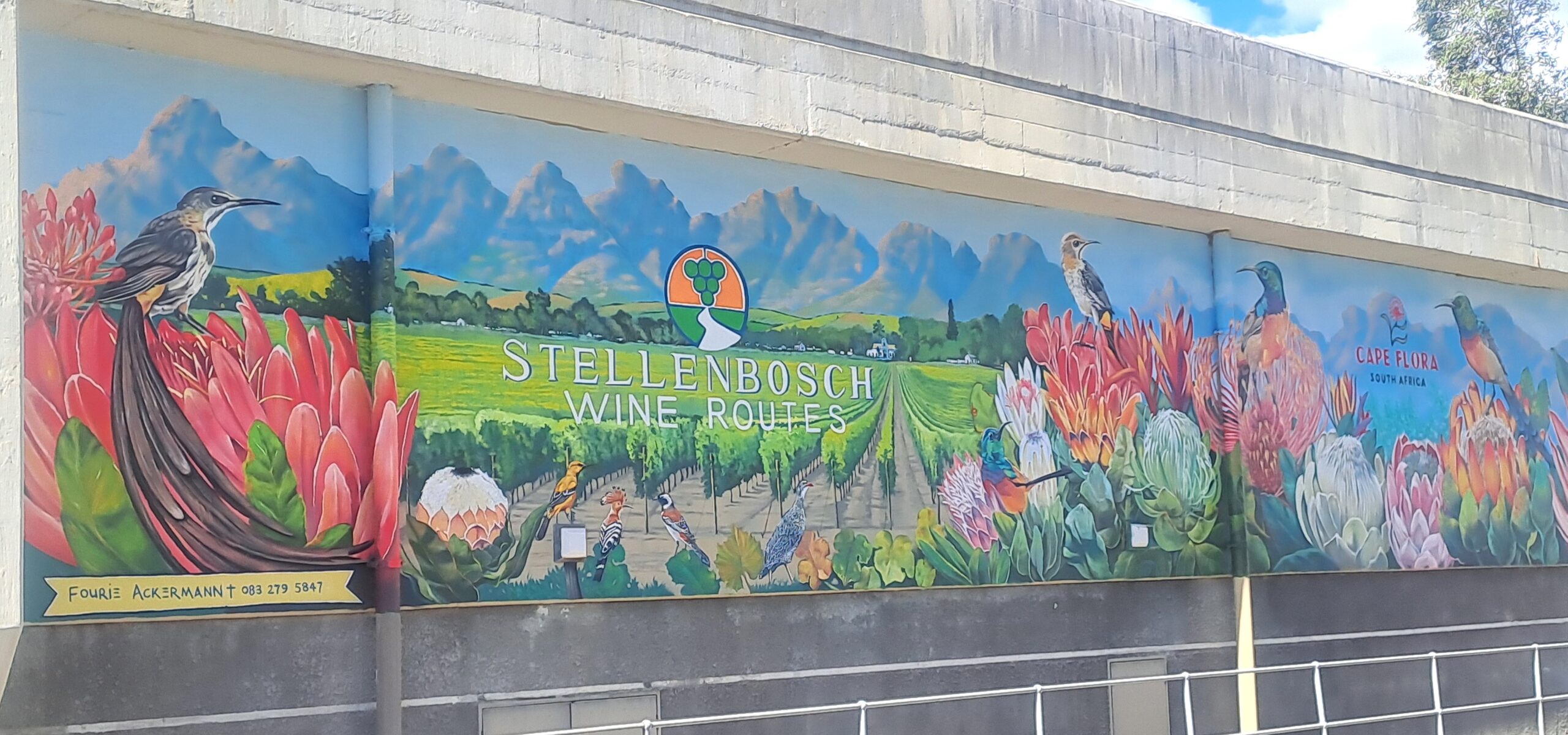 Stellenbosch