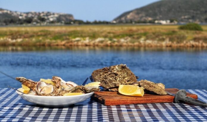 658355149_1539975254460748_869754196209019887_n (Copy) Knysna Oyster Festival