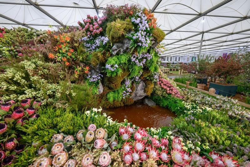 Chelsea Flower Show