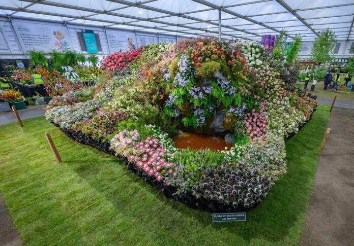 702240758_10163380360238759_9216457996996818932_n (Copy) Chelsea Flower Show