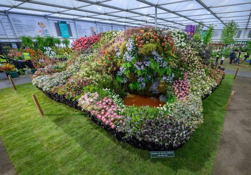 Leon Kluge and Team Struck Gold Against All Odds at Chelsea Flower