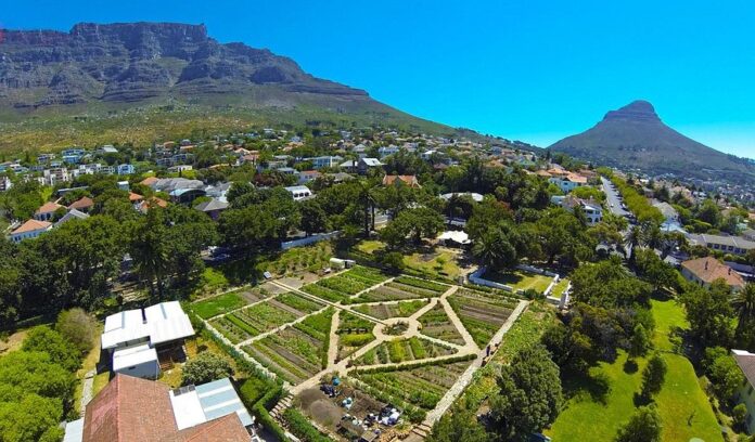 oranjezicht-city-farm Cape Town