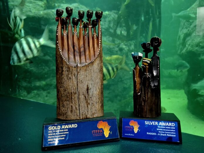 Two Oceans Aquarium (2) (Copy)