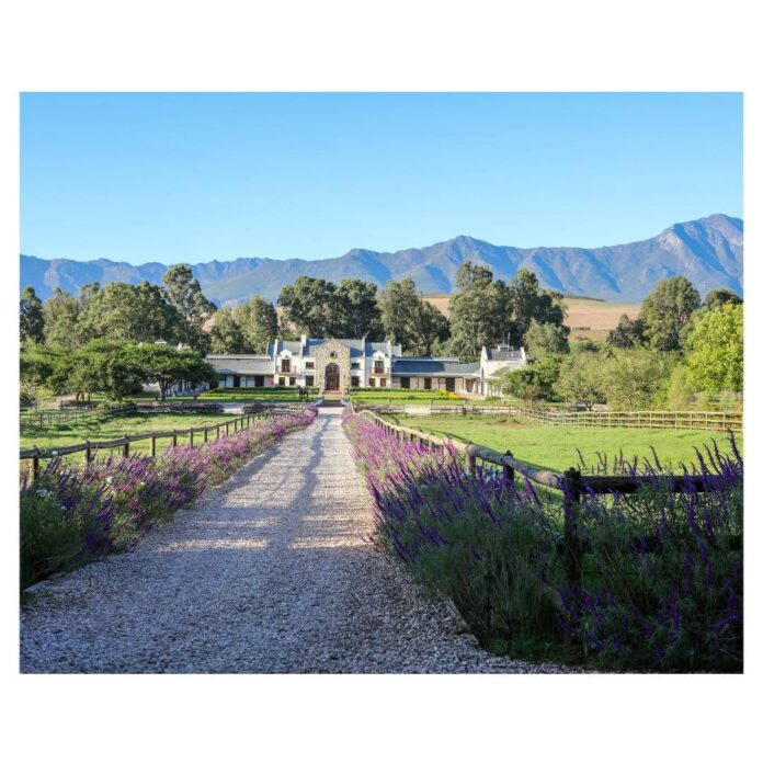 Klawervlei Stud