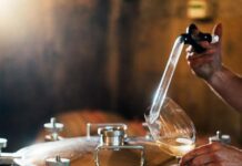 Amphora Wine Festival