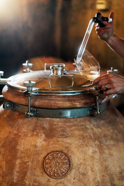 Haute-Cabriere-Haute-Collection-Wine-Production (Copy) Amphora Wine Festival