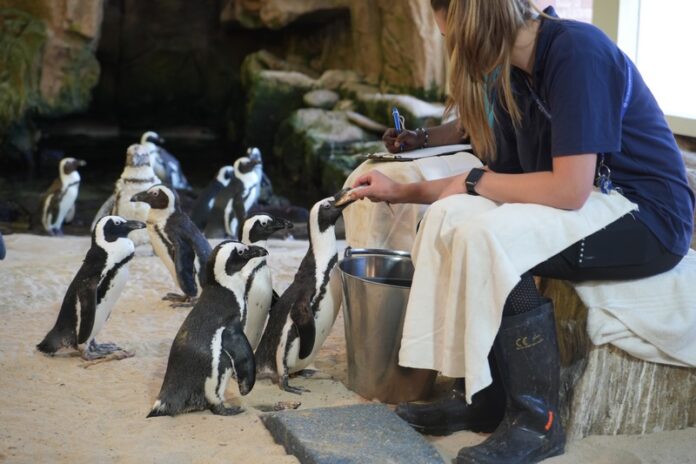 Two Oceans Aquarium (6) (Copy) South Africa