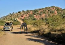 SA National Parks Week