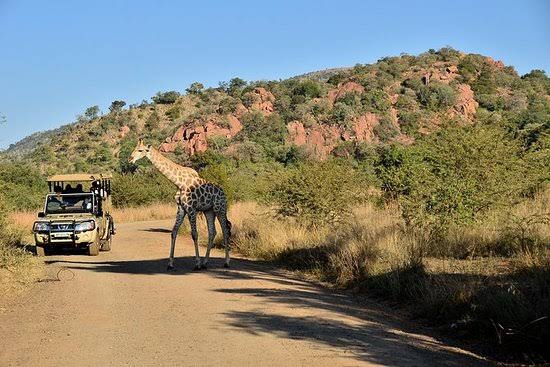 images SA National Parks Week