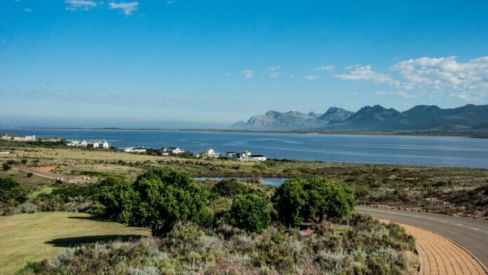 Living-with-Fynbos (Copy) Cape Floral Kingdom